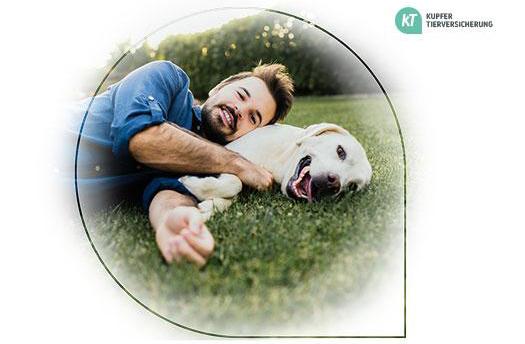 Kupfer Tierversicherungen